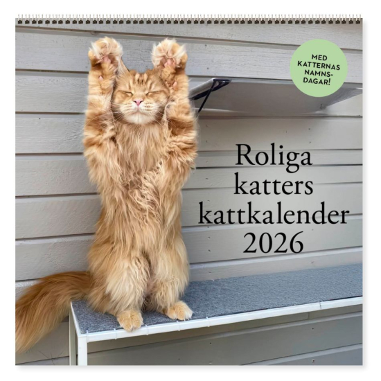 Roliga katter: Kattkalender 2026 i gruppen Landshopping.se / Böcker / Kalender hos Landshopping (10041_9789198909227)