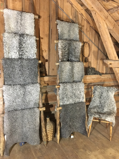 Gotlands lammskinn klippt 1