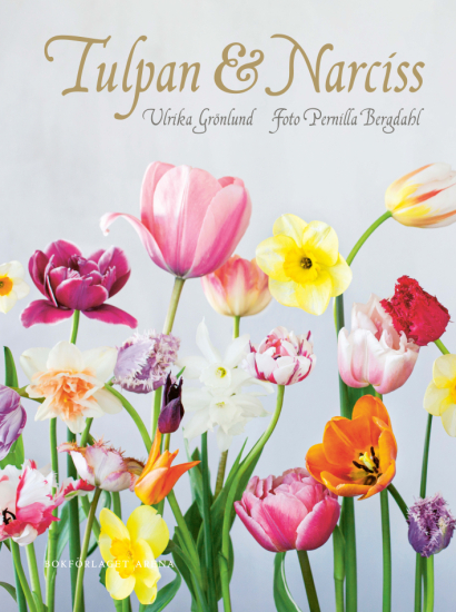 Tulpan & narciss i gruppen Landshopping.se / Böcker / Trädgårdsböcker hos Landshopping (10145_9789189967014)