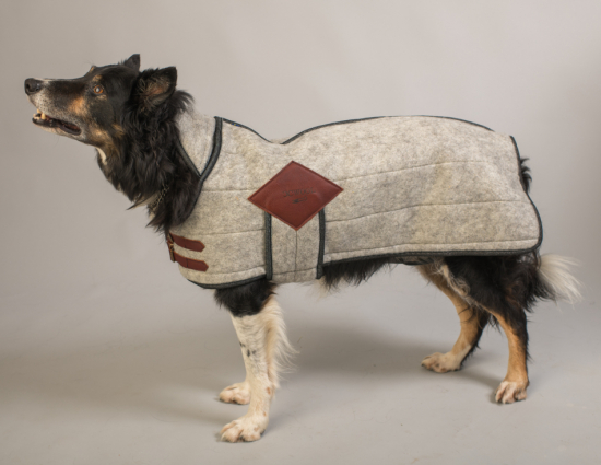 Hundtäcke 65 cm, Svensk ull