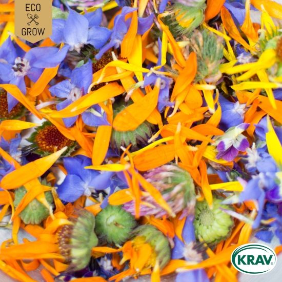 Ätbara Blommor Edible Flower Mix, Ekologiska Fröer