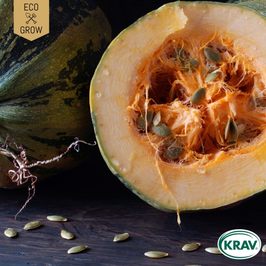 Nakenfröpumpa - Gleisdorfer i gruppen Landshopping.se / Trädgård / Fröer / Squash/ pumpa hos Landshopping (10194_7350153562034)