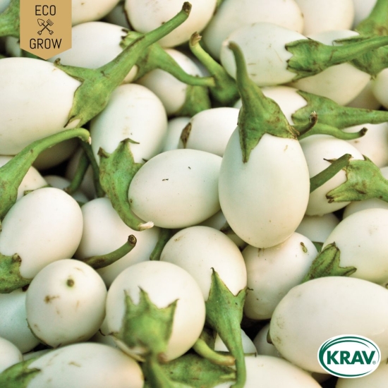 Aubergine - Blanche Ronde à Oeuf i gruppen Landshopping.se / Trädgård / Fröer / Övriga fröer hos Landshopping (10194_7350153562386)