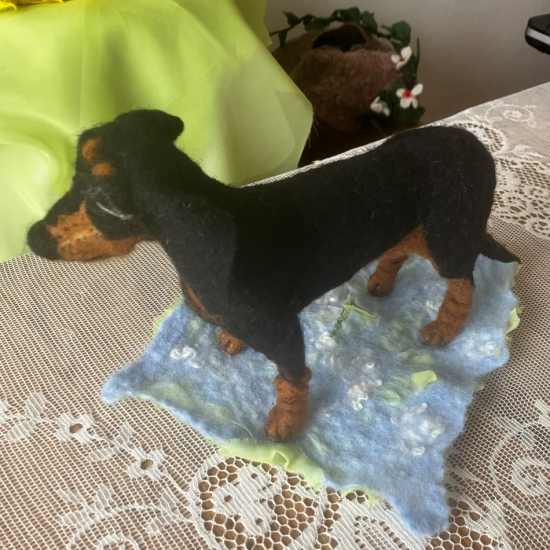 Korthårig tax i ull i gruppen Landshopping.se / Hem & Hantverk / Handarbete / Nålfiltning - tovning hos Landshopping (10229_2025taxendonna)