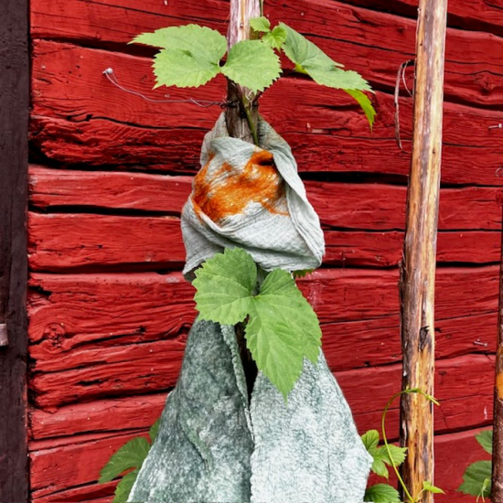 Nunotovadhalsduk i sommargrön färg i gruppen Landshopping.se / Hem & Hantverk / Handarbete / Nålfiltning - tovning hos Landshopping (10229_2026halsdukljusgrn)