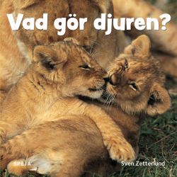 Vad gör djuren?