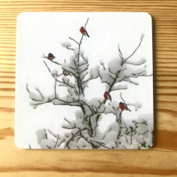 Glasunderlägg med domherrar