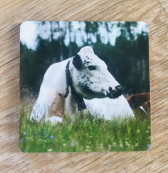 Glasunderlägg med fjällkon Tjärna