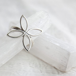 Fairy Believe - Ring