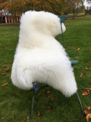 Svenskt lammskinn vitt oklippt - eko