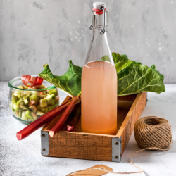 Rabarberplanta 'Red Champagne' 3-pack