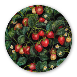 Grytunderlägg Jordgubbslandet