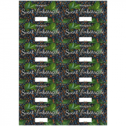 Burkettiketter Svartvinbärsgelé