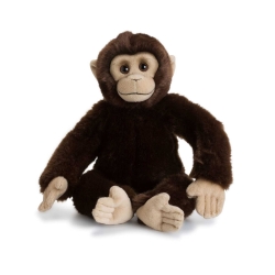 WWF gosedjur Chimpans