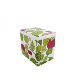 Apple, liten burk, 102x73x110 mm