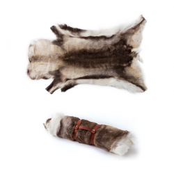 Renfäll från Sápmi