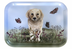 Bricka, Labrador ljus 20x27 cm