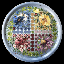 Bricka, Fia med Knuff, 38 cm