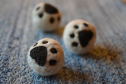 Tassboll leksak i ull katt och hund