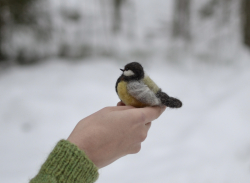 Handgjord fågel i svensk ull