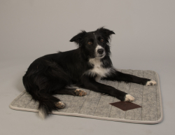 Hundfilt 70*80 cm, Svensk ull