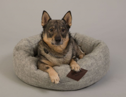 Hundbädd 50*60 cm, Svensk ull 