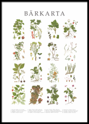 Poster Bärkarta - stora 50x70 cm