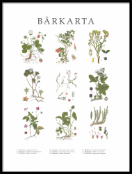 Poster Bärkarta - lilla 30x40 cm