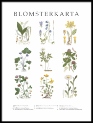 Poster Blomsterkarta - lilla 30x40 cm