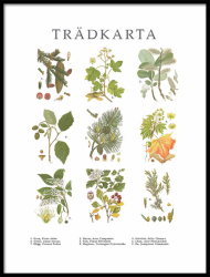 Poster Trädkarta - lilla 30x40 cm