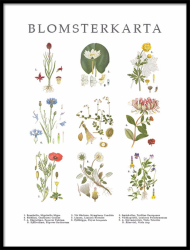 Poster Blomsterkarta - lilla 30x40 cm