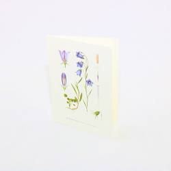 Dubbelvikt kort på Blommor 10,5x15 FLERA MOTIV