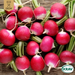 Rädisa - National 2