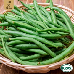 Brytböna - Slenderette