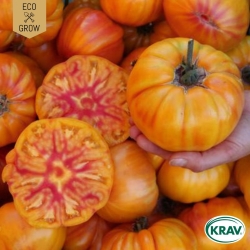 Bifftomat - German Gold