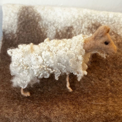 Nåltovat får med finulls lockar