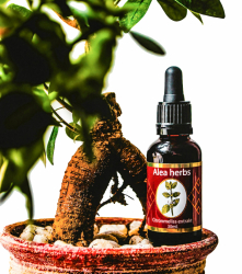 Alea Herbs™ Citronmeliss - Kosttillskott