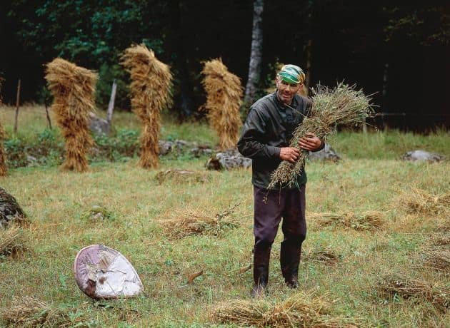 Den siste bonden på Tämmesboda 2