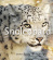 Snöleopard Snöleopard 1