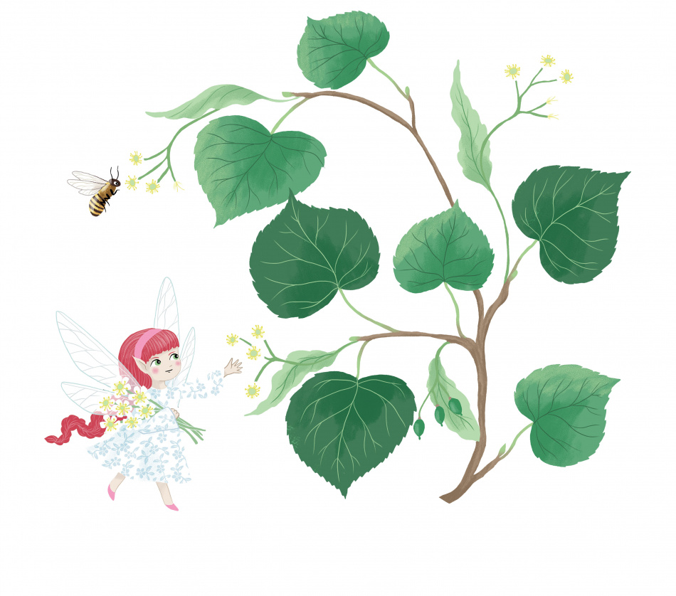 Lilla ätbara floran