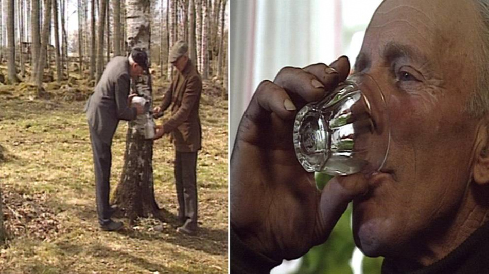 Erik & Sigvard - Ett liv nära jorden och djuren  3