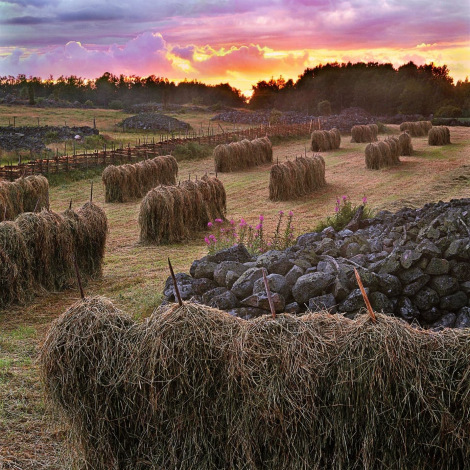 Landet som inte längre är 4