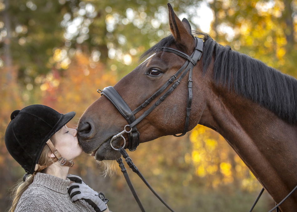 Hästar och hästfolk 3