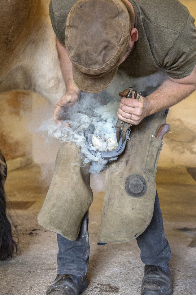 Hästar och hästfolk 4