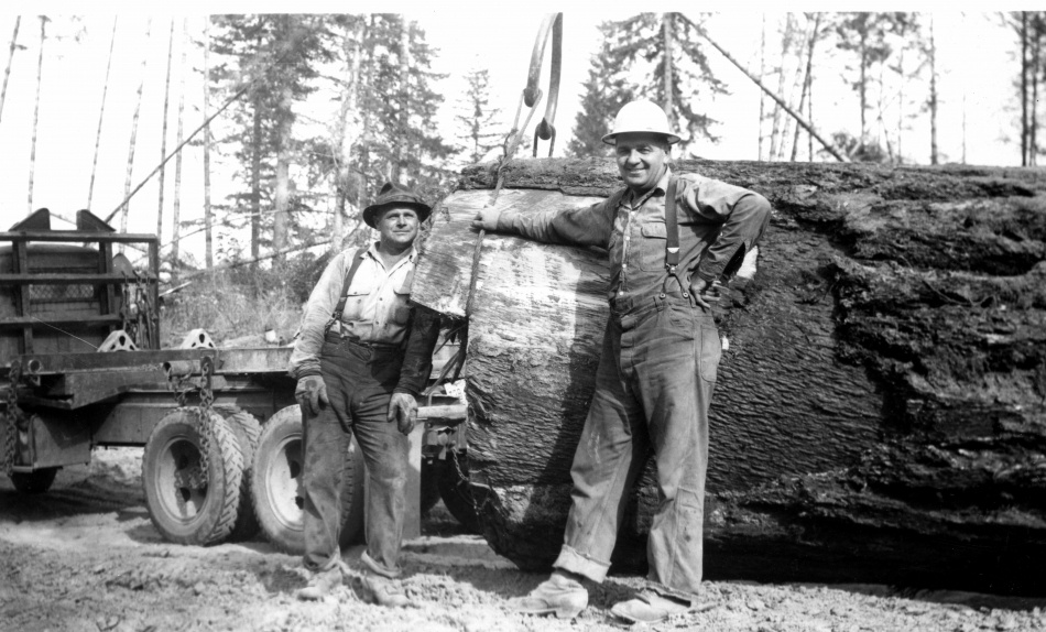 Med yxa, såg och penna - Minnen från fjärran västerns skogar 2