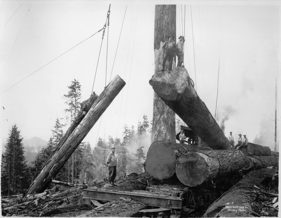 Med yxa, såg och penna - Minnen från fjärran västerns skogar 3