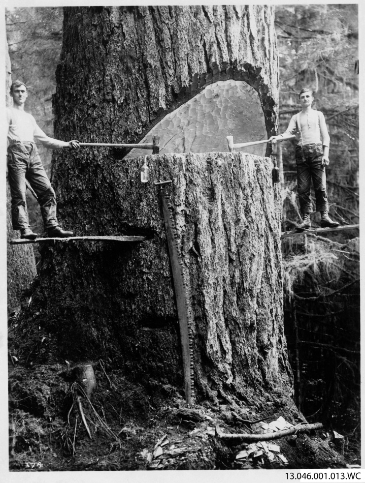 Med yxa, såg och penna - Minnen från fjärran västerns skogar 4