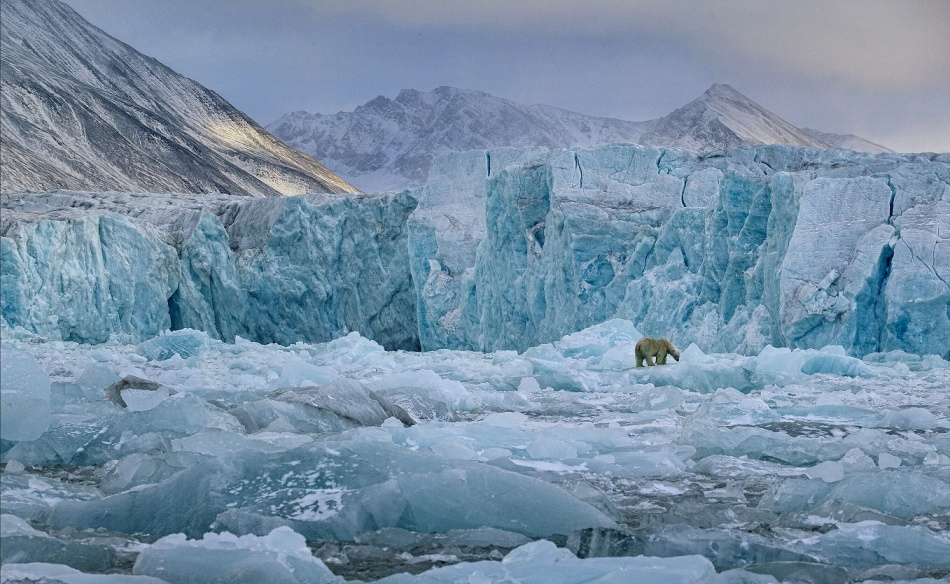Fotavtryck - hur du och jag påverkar vår jord 2