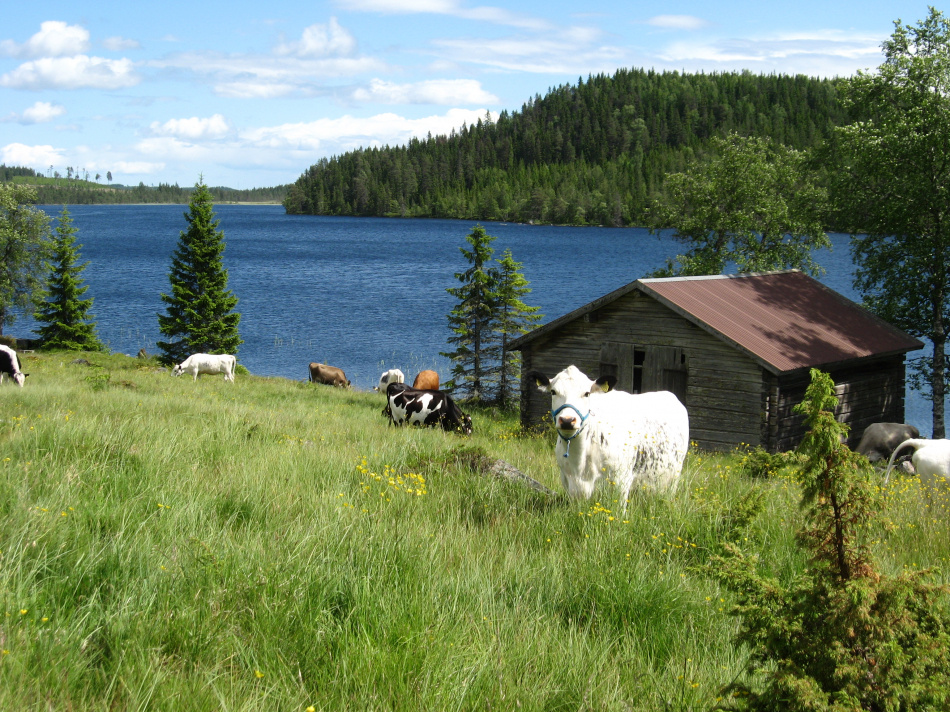 Eldsjälar i utmarken 2