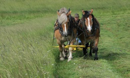 Lennart Fröding Livet på gården